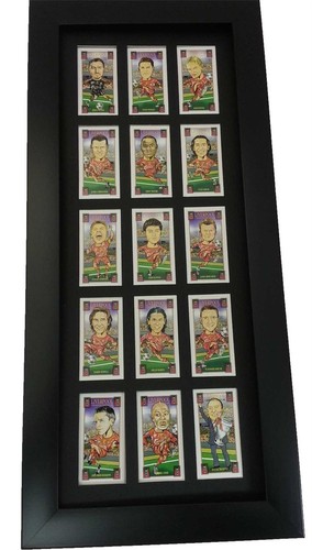 Mounting framing kit for 15 - mounting,